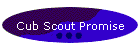 Cub Scout Promise